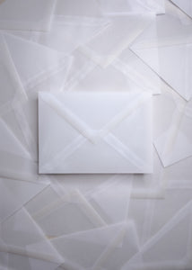 Vellum Envelopes Set of 5